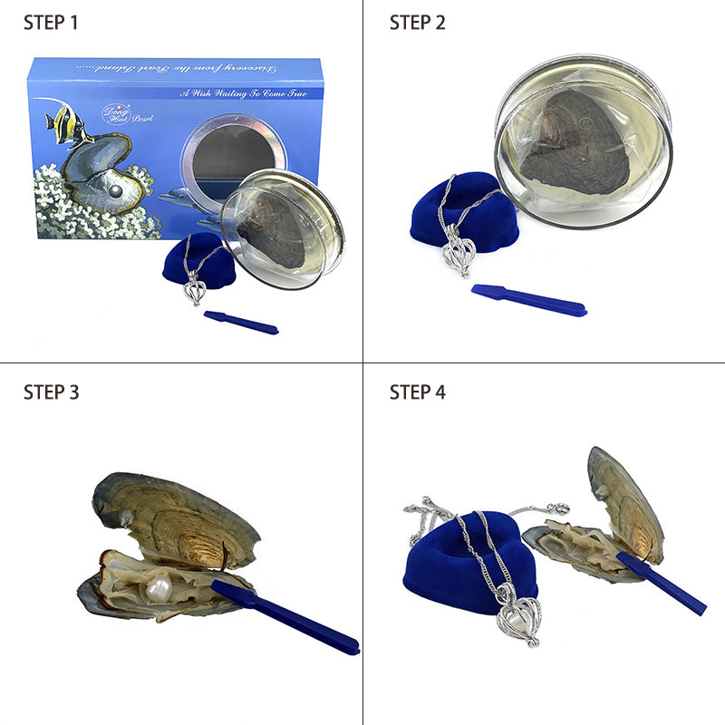 قلادة صدفة بحرية مع لؤلؤة مخفية – فكرة هدية مبتكرة وفاخرة